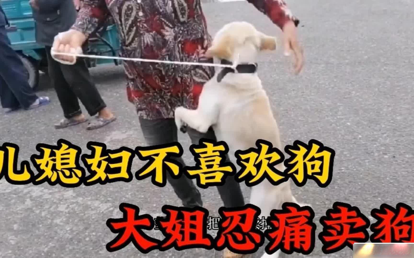 ŵȮͿ飺֮·߻