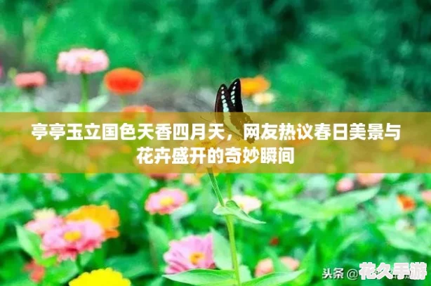 ͤͤɫ-鴺뻨ʢ˲