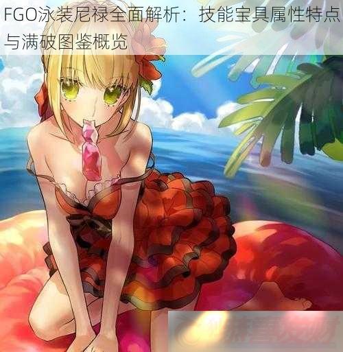 FGOӾװ»ȫܱصͼ