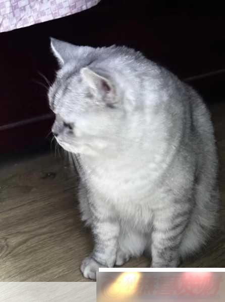 èMVõʲô-1.-èMV׷Ѱõλ֮