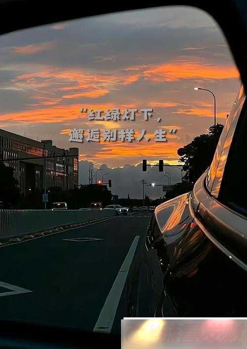 ˫뻧-ţܱϲ