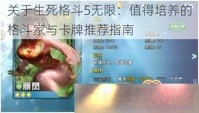 5ޣֵĸ񶷼뿨Ƽָ