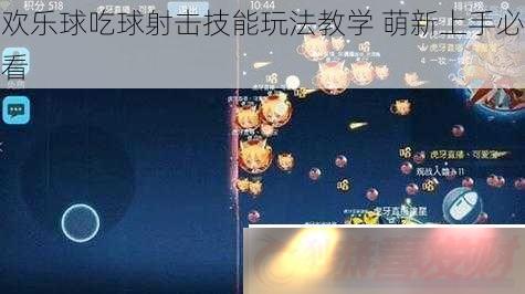 淨ѧ-ֱؿ