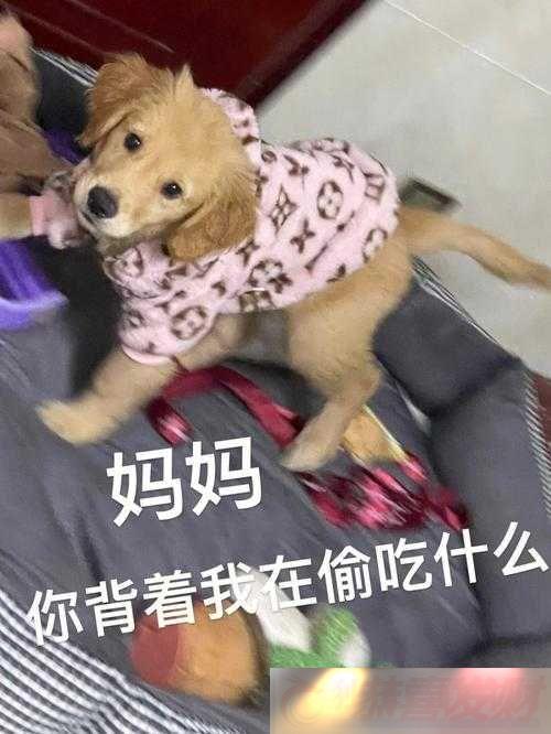 ôзӦѽ