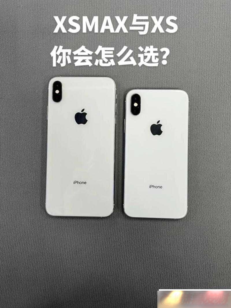 ŷ-iPhone-XS-Max-֮ȫ