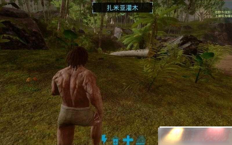 Ϸ淨ָ