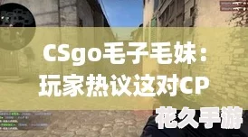CSgoëëãCPĬʵ-˭Ϸе