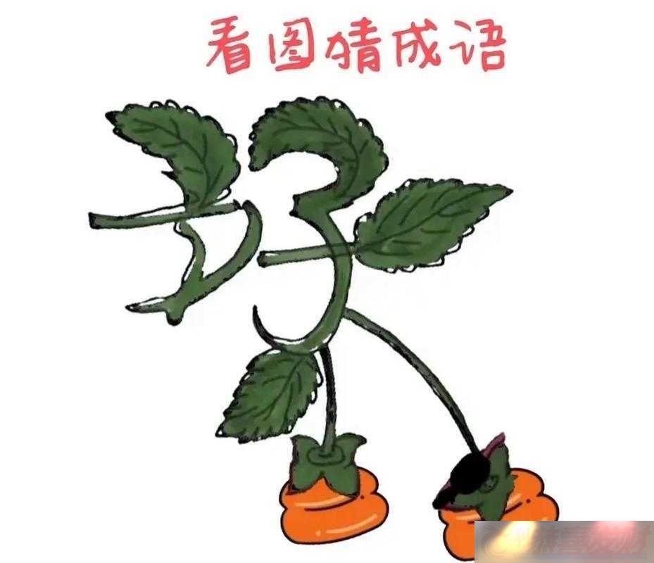 ³Ȯǹ-˶֮յ