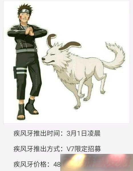 Ӱ´޶Ȯڣʵսԣ淨ѧ