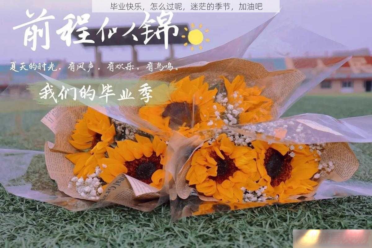 ҵ-ô-ãļ-Ͱ