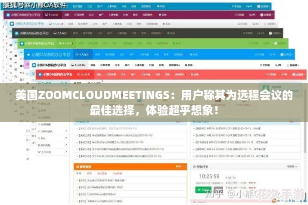 ZOOMCLOUDMEETINGSûΪԶ̻ѡ-鳬