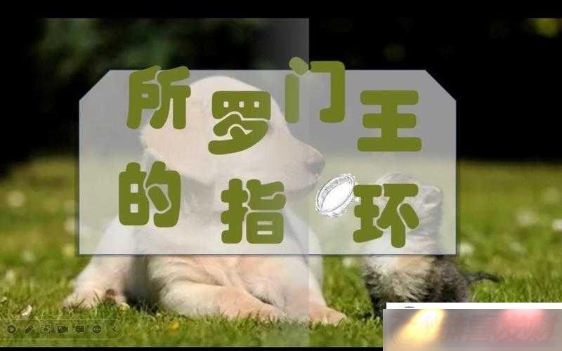 ҽMT2ʤָͼ̽Ѱǿϳ·ϵҫָ