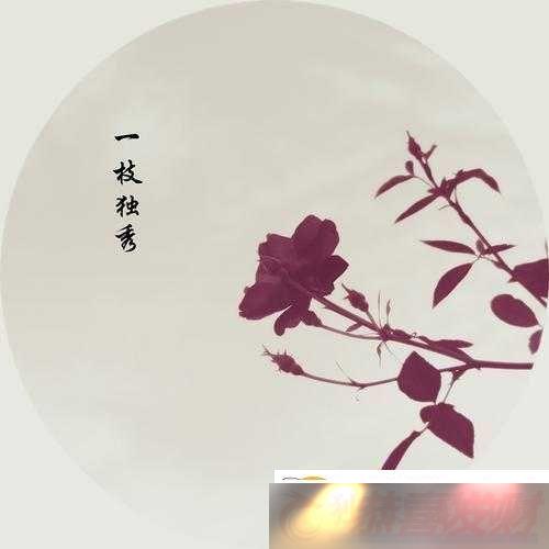 ׸ÿҪpoһ֦㣺˾