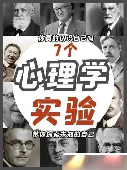 󶨳ϵͳ̽δ֪