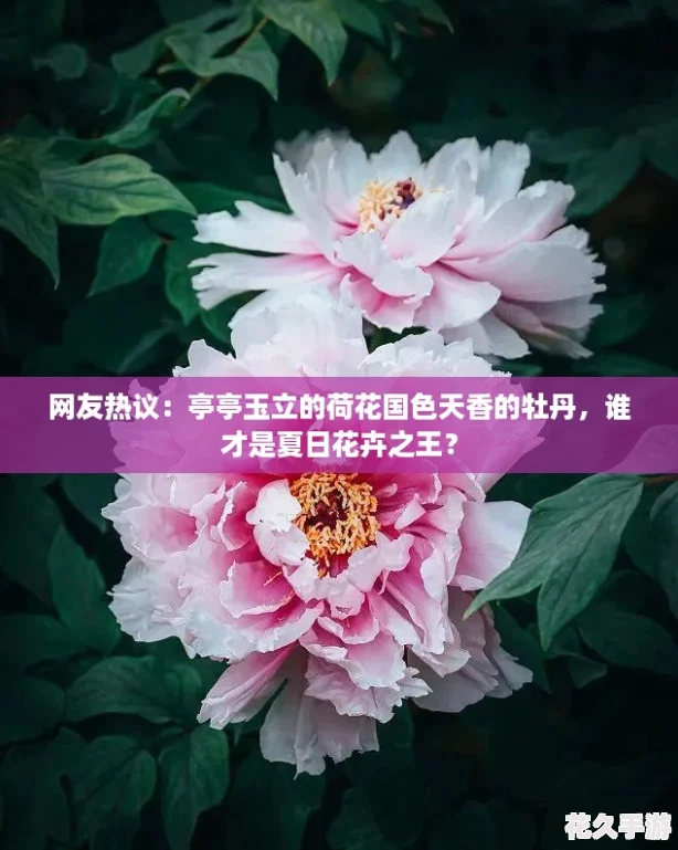 飺ͤͤĺɻɫĵ-˭ջ֮