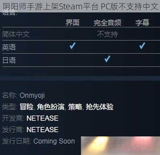 ʦϼSteamƽ̨-PC治֧