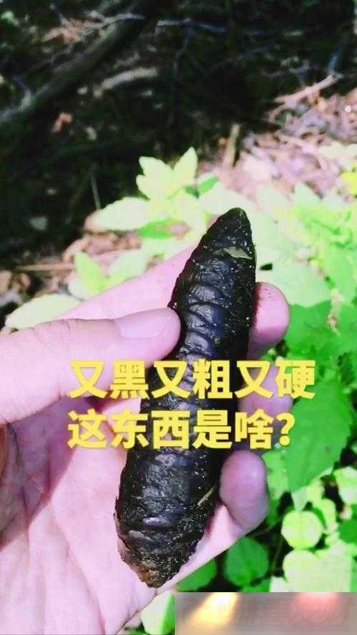 ִִֺֺֻϸĶ