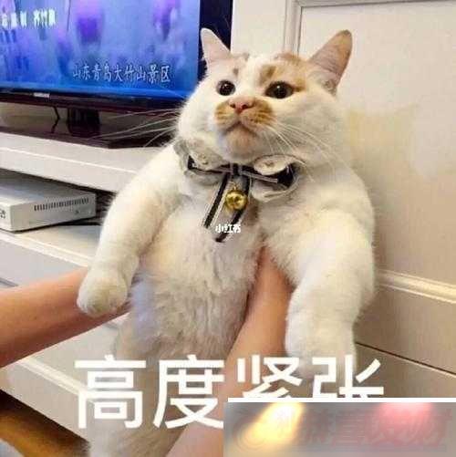 Сý˽Ų