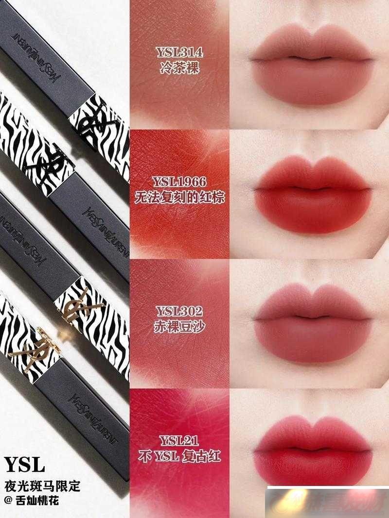 YSL-ں³-˲ױؾ