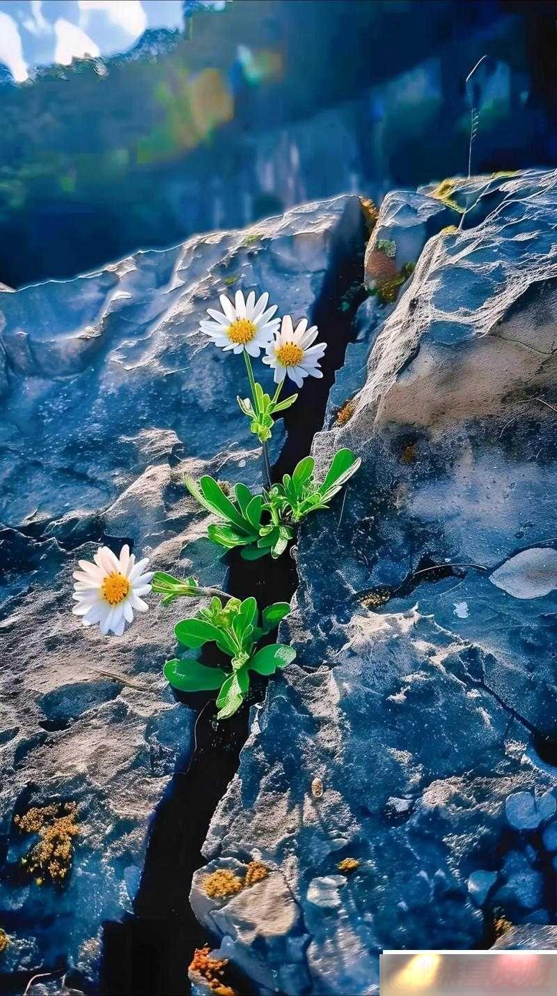 ҰձֱԴȻ