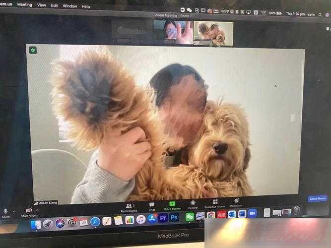 -Zoom--Zoom-ĸãıȽ