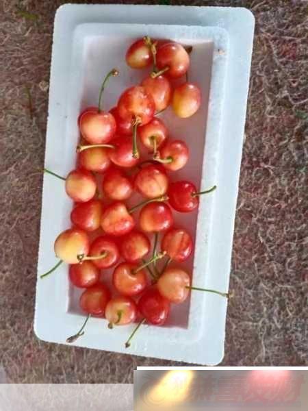 ۴ӣҸ۵-1.-۴ӣ۵Ŀڸв