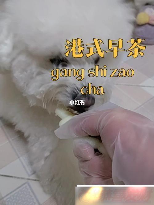 չ˽䷽20-ױȵӻ