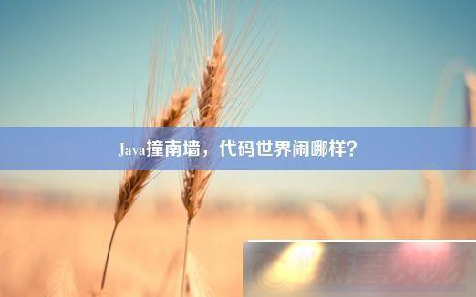 Javaײǽ-