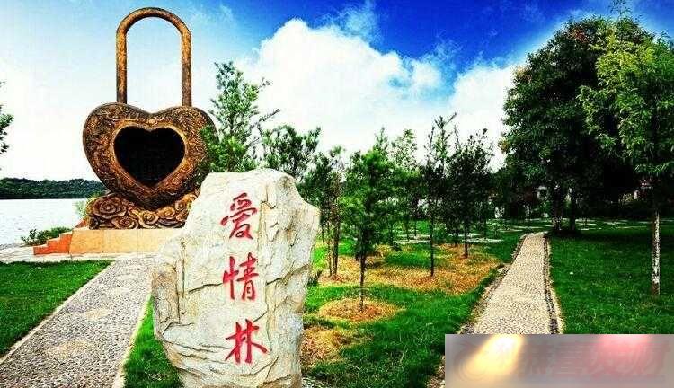 鵺̳˵ľۼ