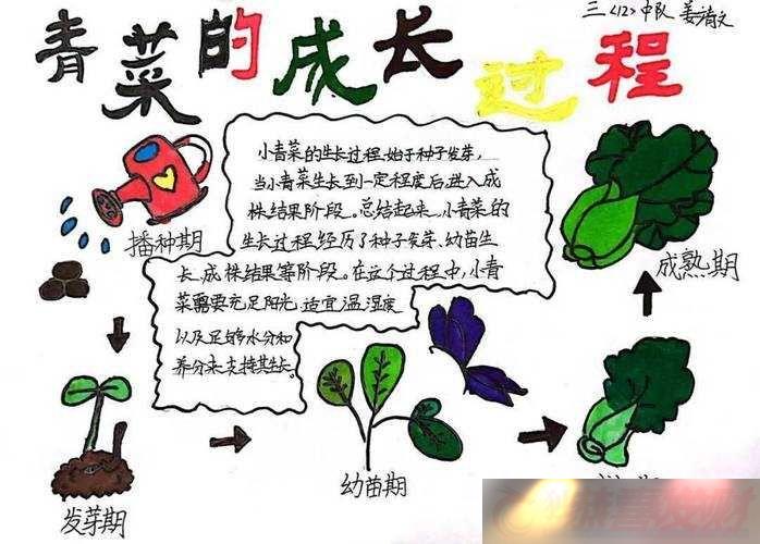 СʱθЧ滮еֲʱ