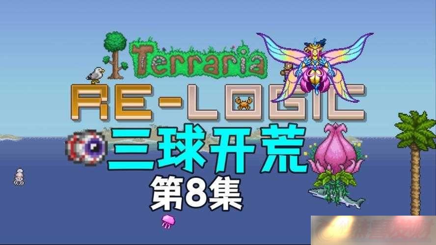 ̩ǿ³֮۽빥