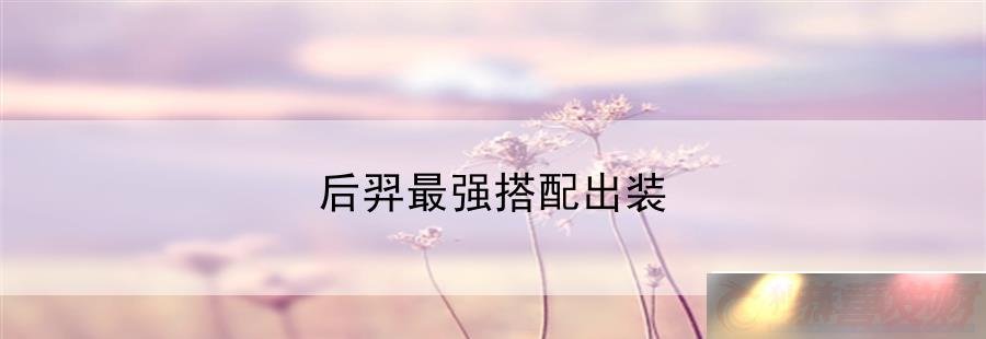 ǿװྫʵĹ