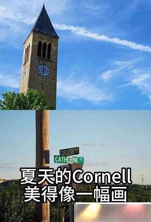 С׵¶ܼռһľ