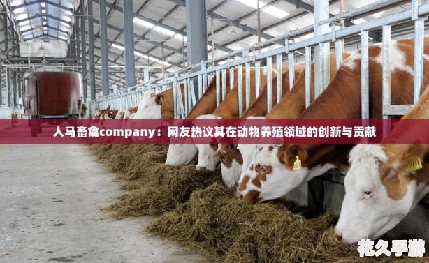 companyڶֳĴ빱