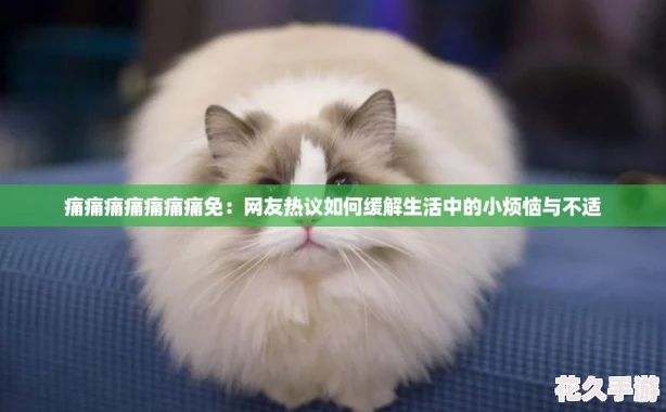 ʹʹʹʹʹʹʹ⣺λеС벻