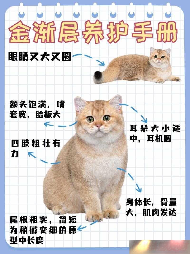 ɫɫèԴȡ;