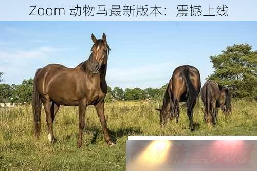 Zoom°汾