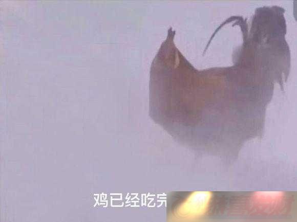 ŮͳԼƼ˹¼һֻ