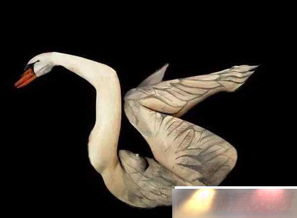 ֮̽