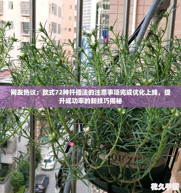 飺ŷʽ72Ǥ巨עŻ-ɹʵ¼ɽ