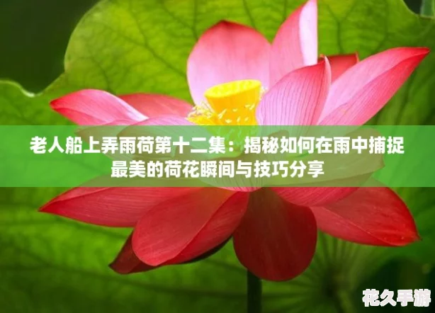 ˴Ūɵʮв׽ĺɻ˲뼼ɷ