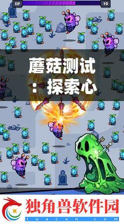 Ģԣ̽湤