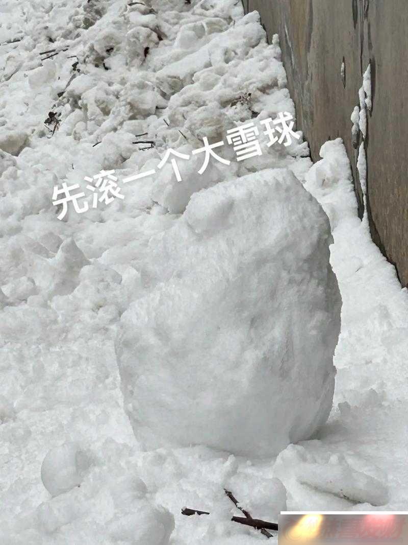 ǰѩŶô죺ӦԺʹ