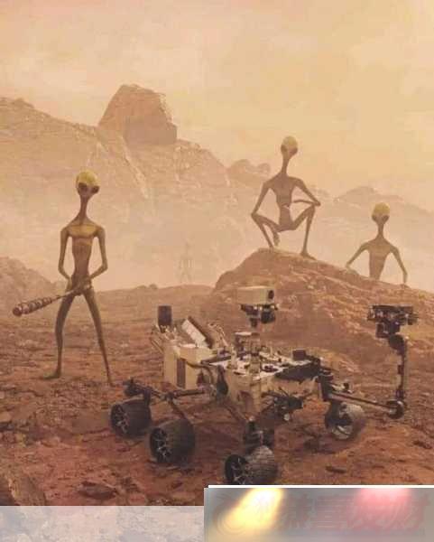Ϯ˹ֻ-