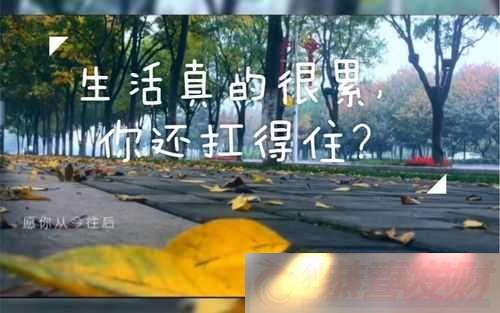 δʮ̤᣺ۼ