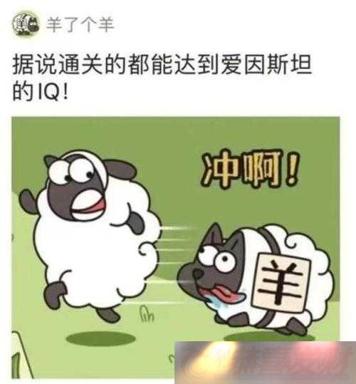 뱻һʲô֪