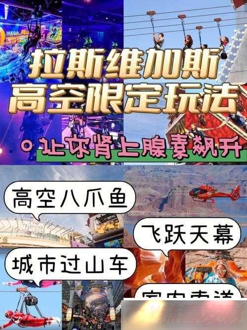 -1v2H-ӭµ淨-̼
