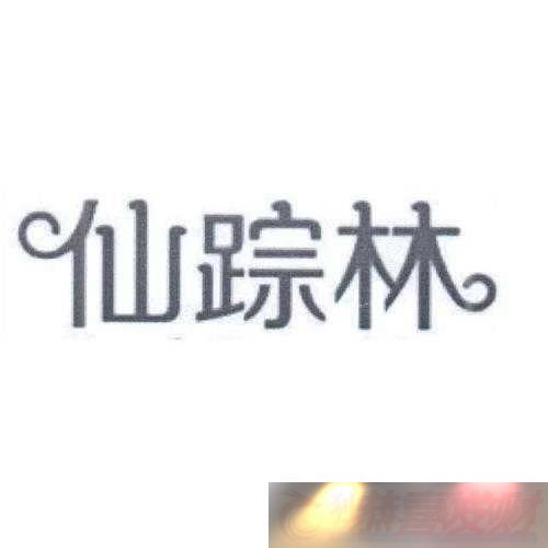 -Company-Limited19̽޿