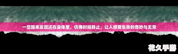 һֻ-·ʱ侲ֹ-˸޳