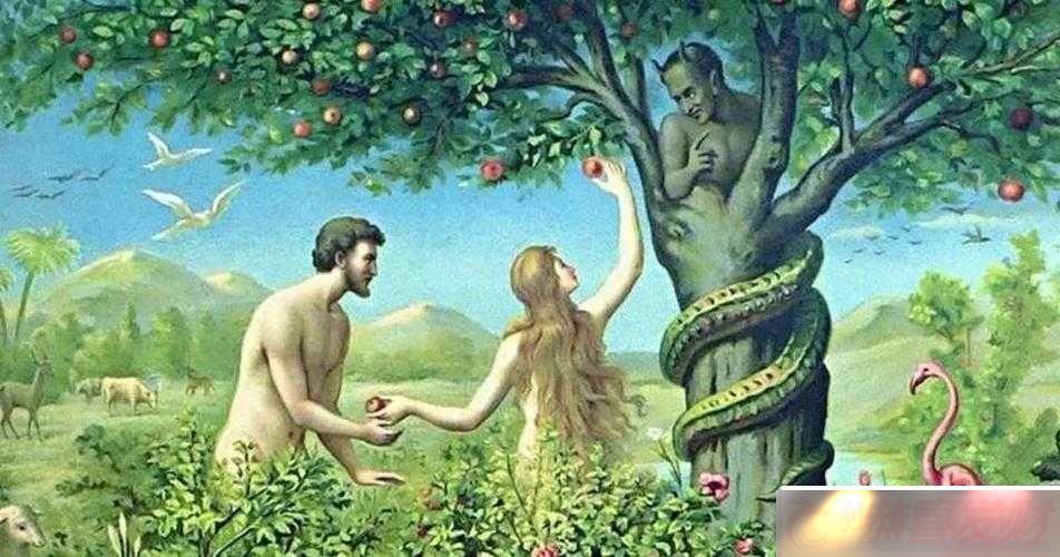 ԰onsǵ޵Ľ֮